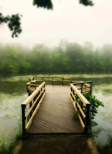 Cold misty dock morning — hoodie weather